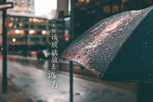 2026球场音频系统：如何通过定向声波技术营造让对手恐惧的嘘声。