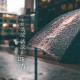 2026球场音频系统：如何通过定向声波技术营造让对手恐惧的嘘声。